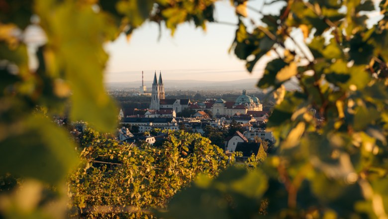 Klosterneuburg durch die Reben, © WienerwaldTourismus/Irensa Savic