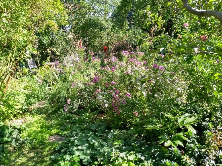 Ein üppiger Garten mit bunten Blumen und viel Grün, durchzogen von einem schmalen Pfad.