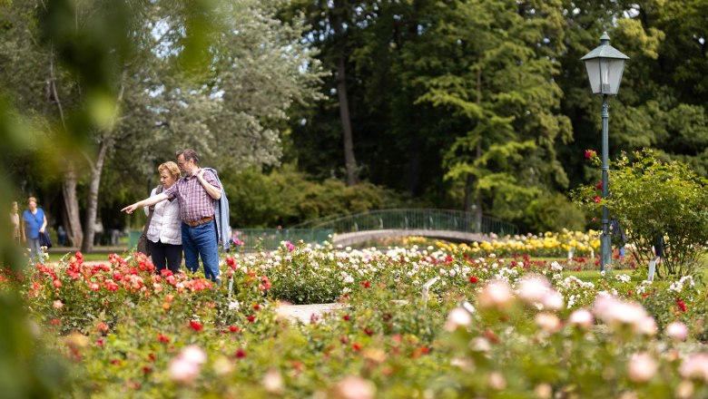 Baden blüht, © 2025psb/ckollerics