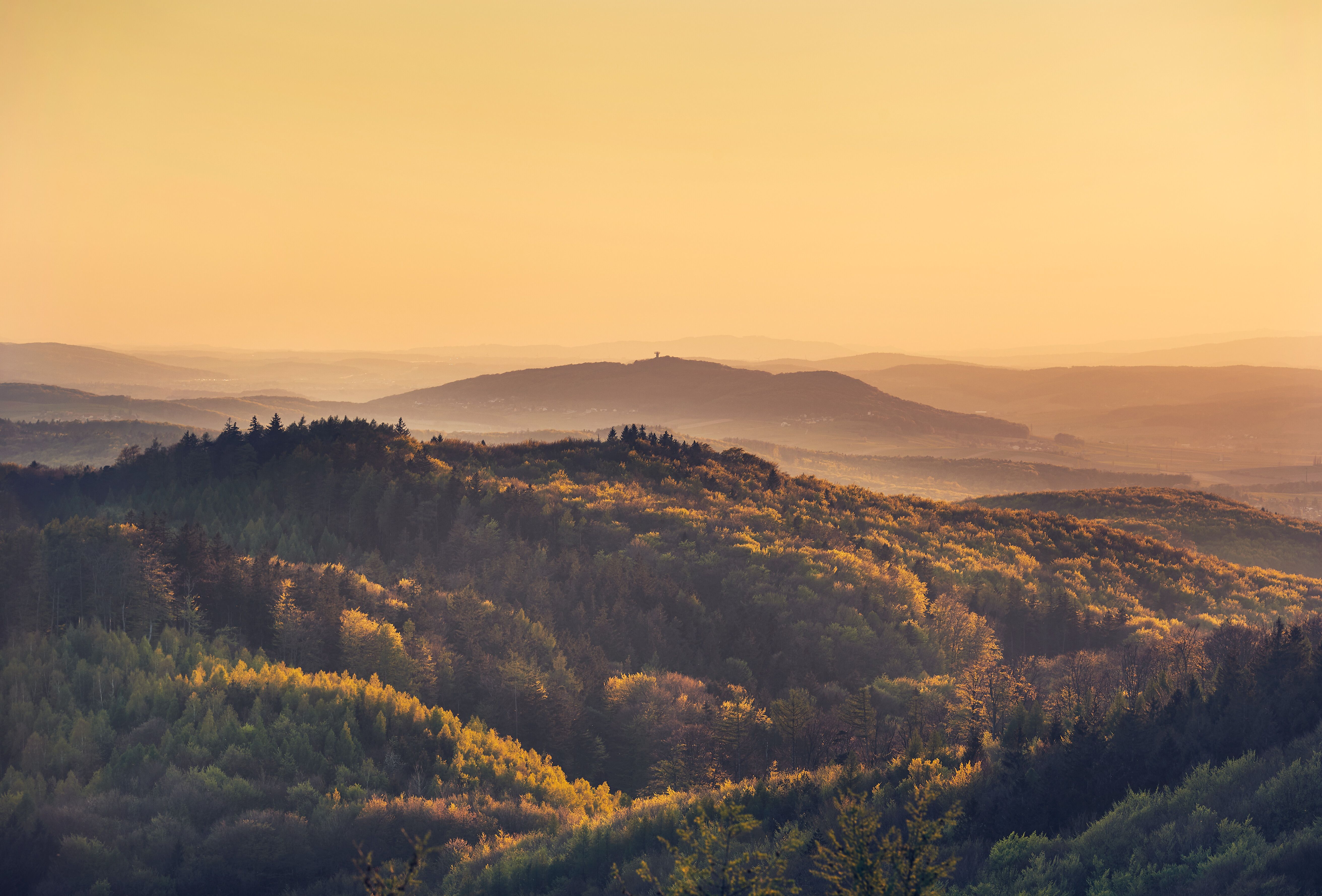Die sanften Hügel des Wienerwaldes erstrahlen im warmen Licht des Herbstes, während die bunten Blätter der Bäume eine malerische Kulisse schaffen. Hier, inmitten der Natur, können Wanderer die frische Luft genießen und die Ruhe der Biosphärenparklandschaft erleben.