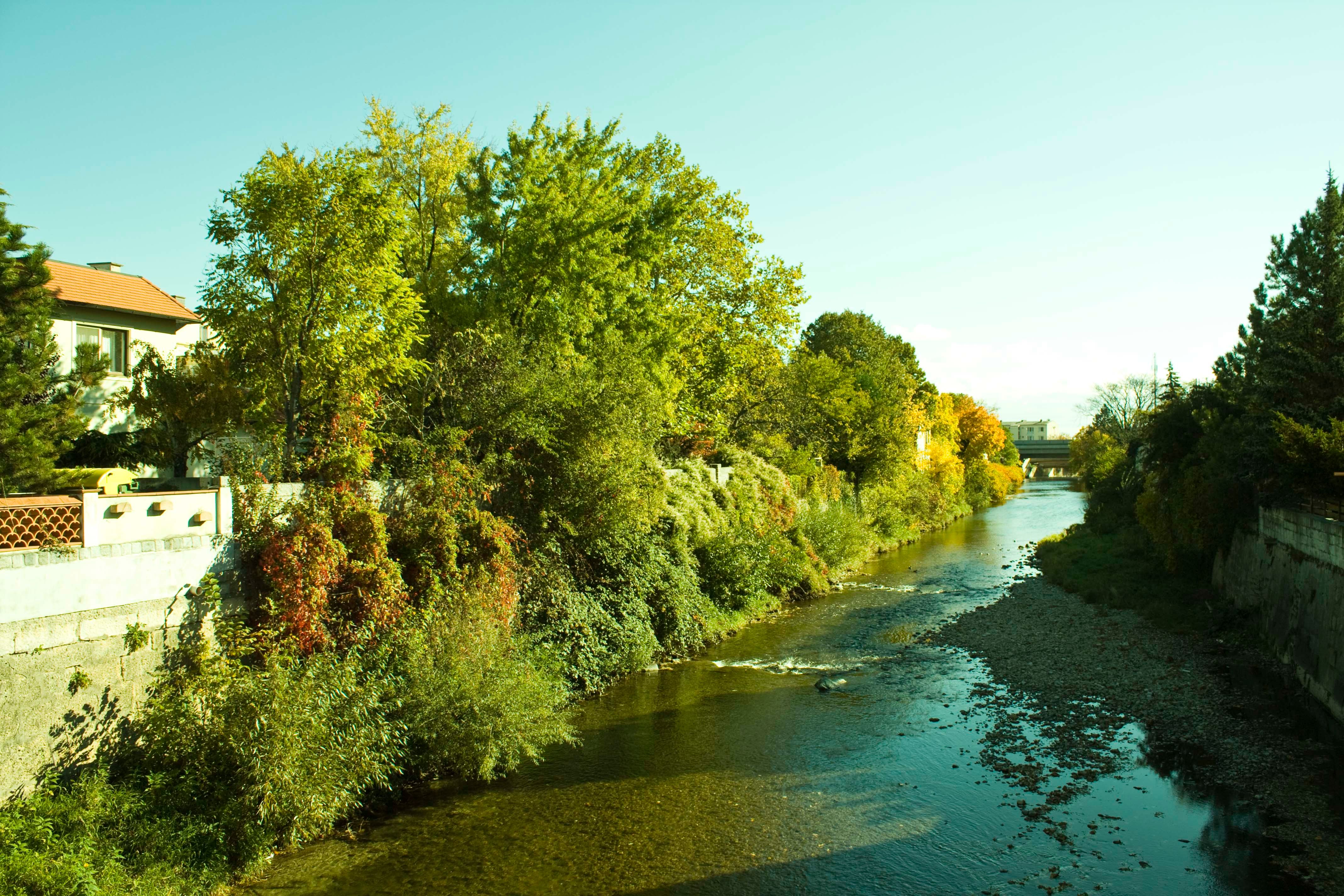 Ein Fluss mit klarem Wasser fließt durch eine grüne, bewachsene Landschaft mit Bäumen und einem Haus am Ufer.