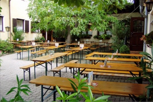 An empty beer garden with wooden benches and tables under trees.