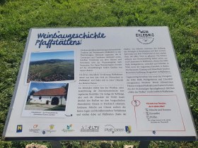 Informationsschild: Wein-Erlebnis_Die Weinbaugeschichte Pfaffstätten, © Wienerwald