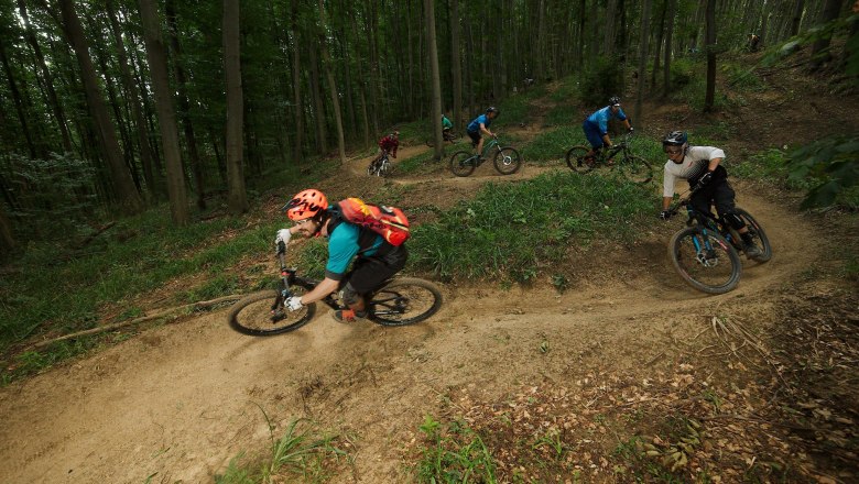 Mountainbiker, © Markus Kreiner
