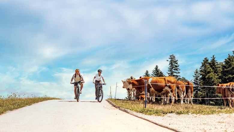 Rad Genusstag, © www.ishootpeople.at