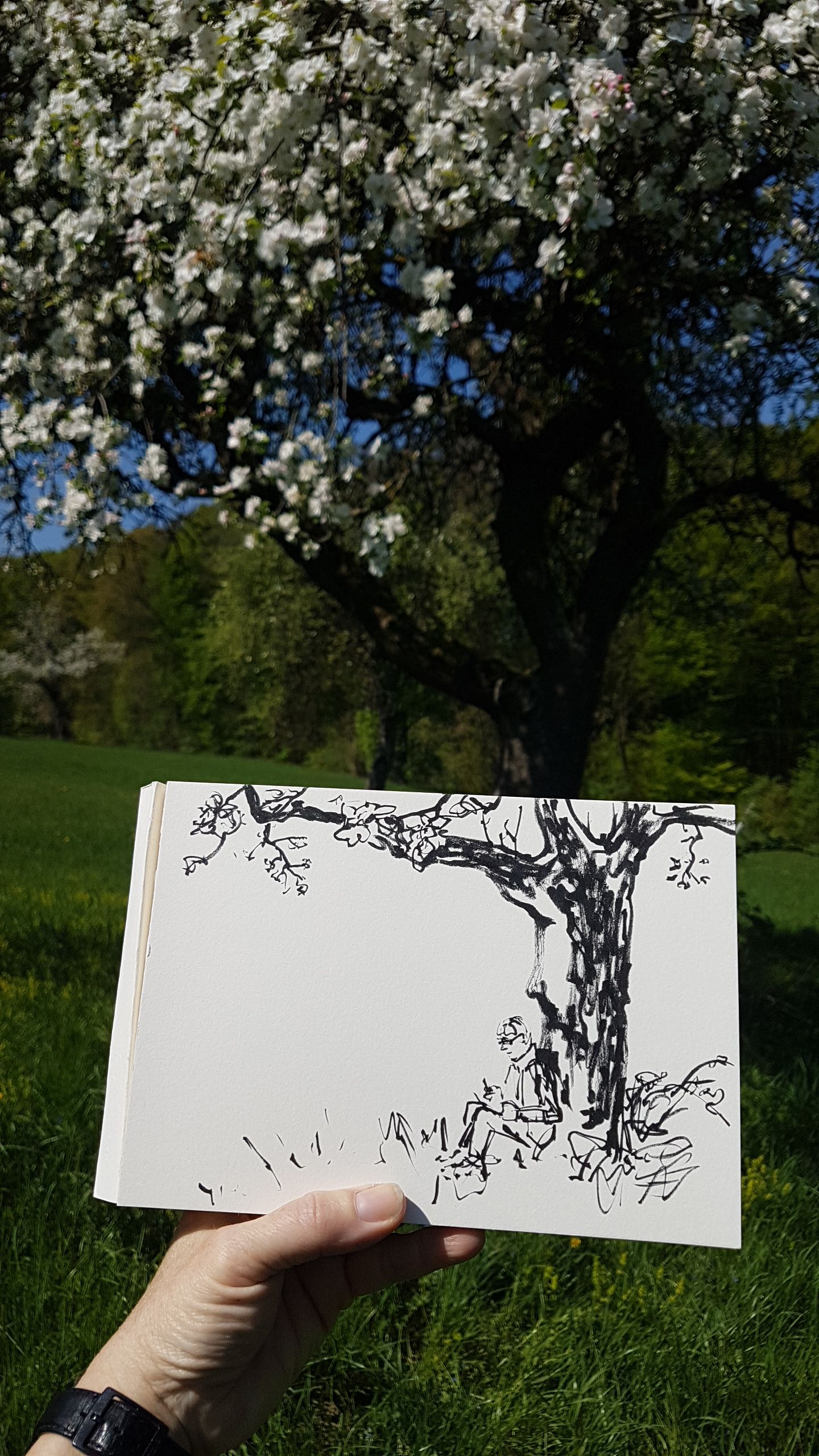 Zeichnen in der Natur