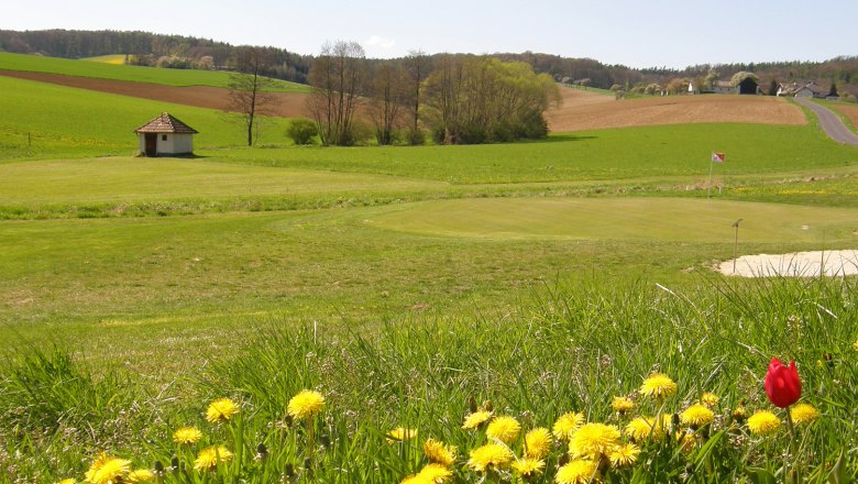 Golfplatz mit Blumen im Vordergrund und Flagge auf dem Grün.