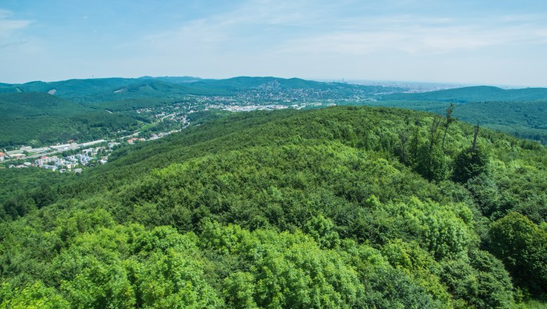 Panoramic view from the Rudolfswarte of wooded hills and a town in the background.