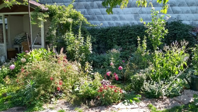 A flowering perennial bed in front of a wall with various plants and flowers.