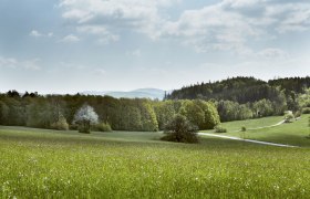 Irenental (c)Wienerwald Tourismus_Andreas Hofer_2021, &copy; Andreas Hofer/Wienerwald Tourismus