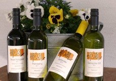 Vier Weinflaschen vor einem Blumenk&uuml;bel mit Stiefm&uuml;tterchen.