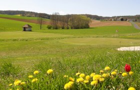 Golfplatz mit Blumen im Vordergrund und Flagge auf dem Grün.