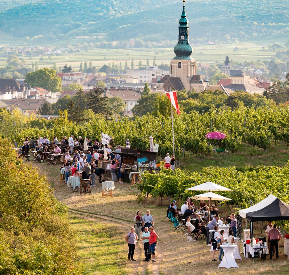 Inmitten der sanften Hügel und üppigen Weinreben versammeln sich Menschen, um die Köstlichkeiten der Region zu genießen. Die Atmosphäre ist lebhaft und einladend, während die Sonne über den malerischen Weinbergen strahlt und die umliegende Landschaft in warmes Licht taucht.
