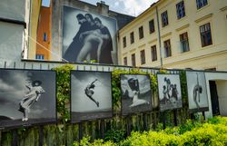 Fotofestival Impression 2023