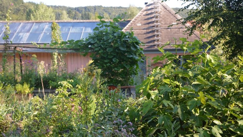 Ein üppiger Garten mit verschiedenen Pflanzen vor einem Haus mit Solarpanelen auf dem Dach.
