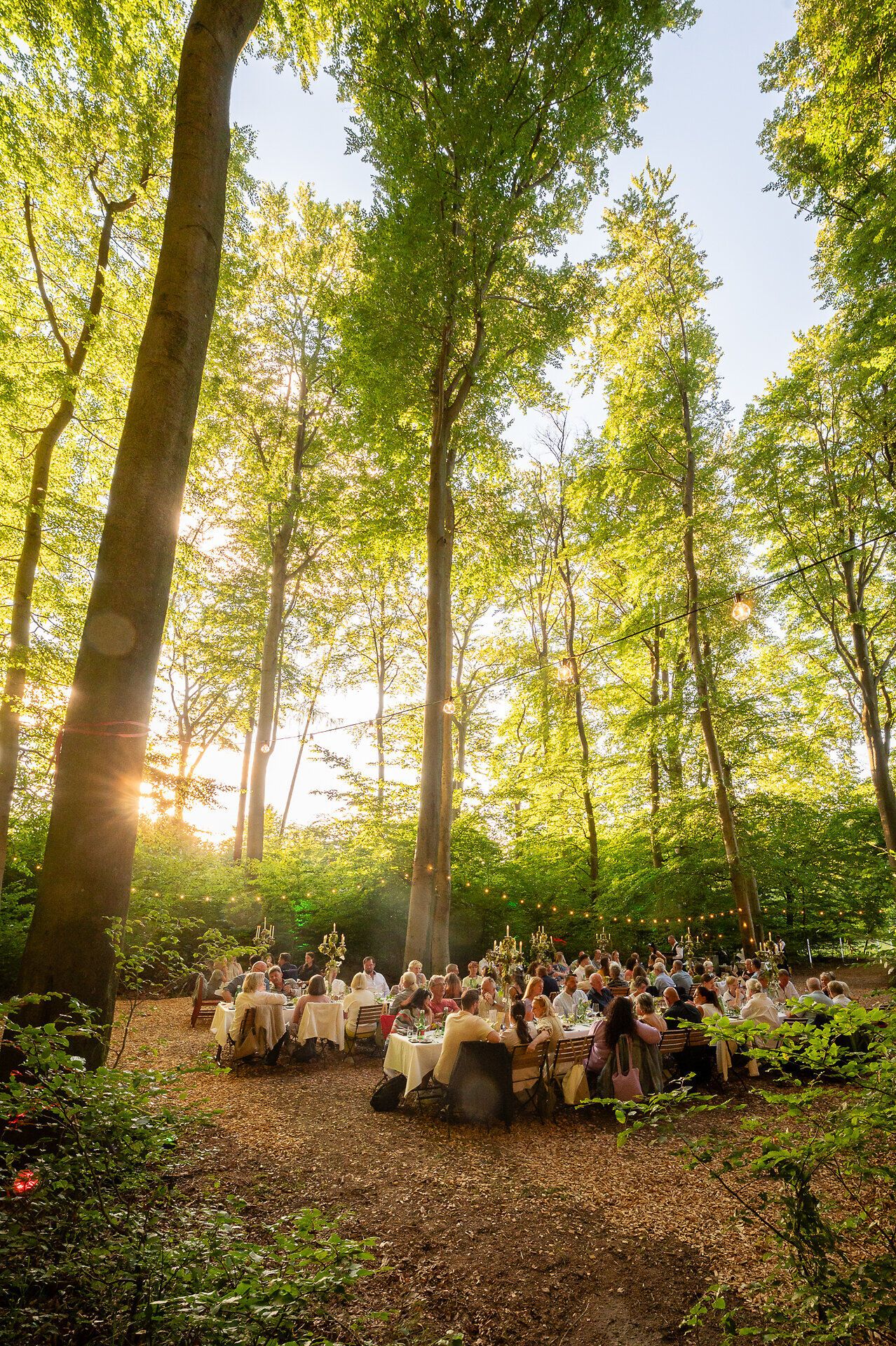 Bei einem besonderen Dinner im Berghotel Tulbingerkogel schmücken weiß gedeckte Tische die Szenerie eines warmen Sommerabends. Eingebettet in die alten Buchen des Wienerwalds entfaltet sich die Magie der Kulinarik unter sanftem Sonnenlicht. Hier verschmelzen Natur und Genuss zu einem stillen Erlebnis, das die Sinne belebt. Ein ruhiger Moment, der die Seele berührt und die Einladung, den Wienerwald in seiner ganzen Pracht mit allen Sinnen zu erleben.