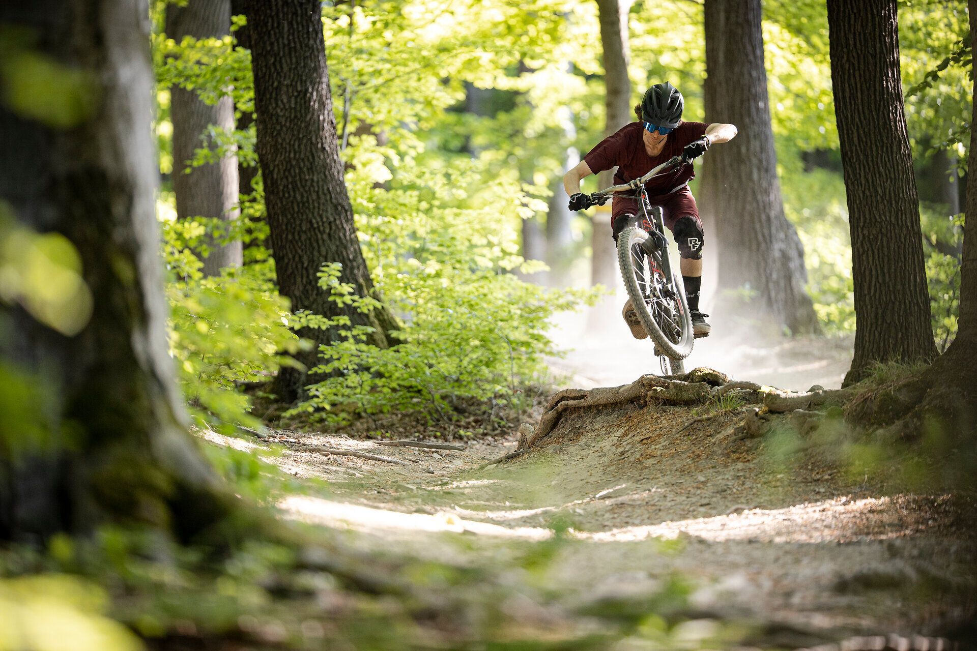 Ein Mountainbiker schwebt über einen Wurzelabsatz, während die Sonne durch das dichte Blätterdach der Bäume strahlt. Die frische, klare Luft und das Rascheln der Blätter schaffen eine perfekte Kulisse für ein aufregendes Abenteuer in der Natur. Hier im Wienerwald wird jeder Sprung zum unvergesslichen Erlebnis.