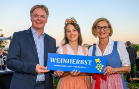 Weinherbst, © NLK Burchhart 