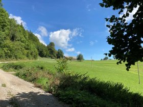 Am&ouml;d, &copy; Wienerwald