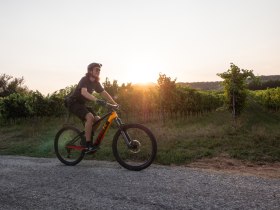 MTB im Wienerwald, © Wienerwald Tourismus/TUES GmbH