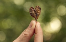 Erlebnis Wienerwald, © Wienerwald Tourismus/Studio Kerschbaum