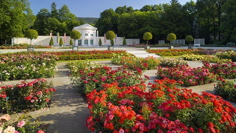 Rosengarten mit bunten Blumen und einem weißen Gebäude im Hintergrund.