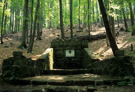 Stone fountain in the forest with stairs and trees in the background.