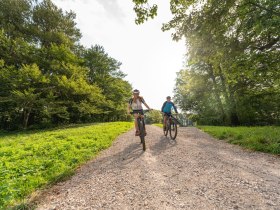 MTB Wienerwald, &copy; Wienerwald Tourismus GmbH / Christoph Kerschbaum