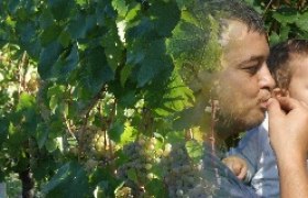 Ein Mann und ein Kind stehen in einem Weinberg und essen Trauben.