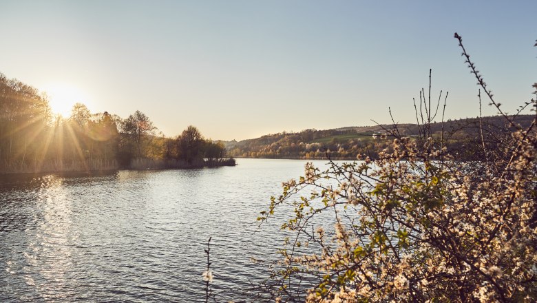 Wienerwaldsee, © Wienerwald Tourismus/Andreas Hofer