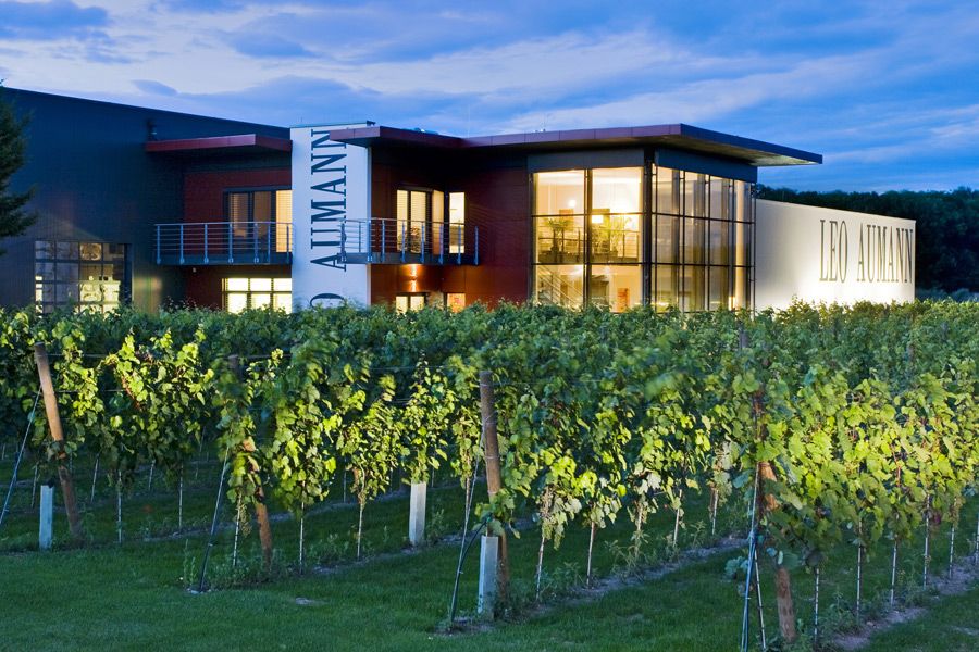 Weingut Leo Aumann bei Dämmerung mit beleuchtetem Gebäude und Weinreben im Vordergrund.
