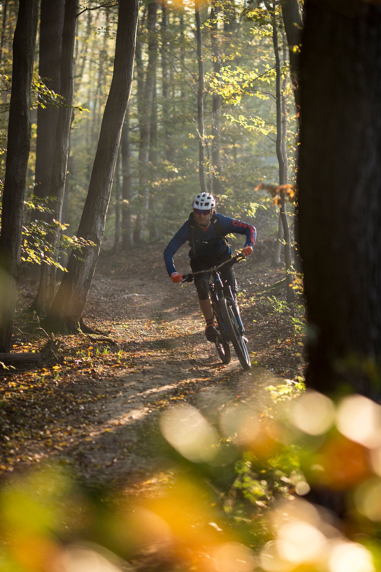 Ein Mountainbiker gleitet mit Schwung über den schmalen Pfad, umgeben von den sanften Hügeln des Wienerwaldes. Die warmen Sonnenstrahlen durchdringen das dichte Blätterdach und schaffen eine magische Atmosphäre, die zum Abenteuer einlädt. Hier, inmitten der Natur, wird jeder Moment zu einem unvergesslichen Erlebnis.