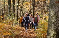 Eine Gruppe spaziert im herbstlichen Wienerwald zur Wienerwaldbiergenuss Führung im herbstlichen Wienerwald. 