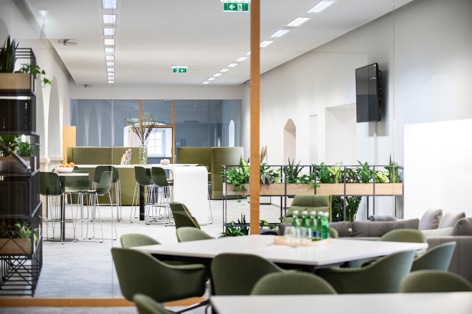 Modern office with green chairs, plants and tables.