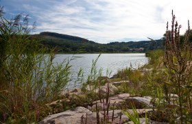 Wienerwaldsee, © Alexandra Lindenthal