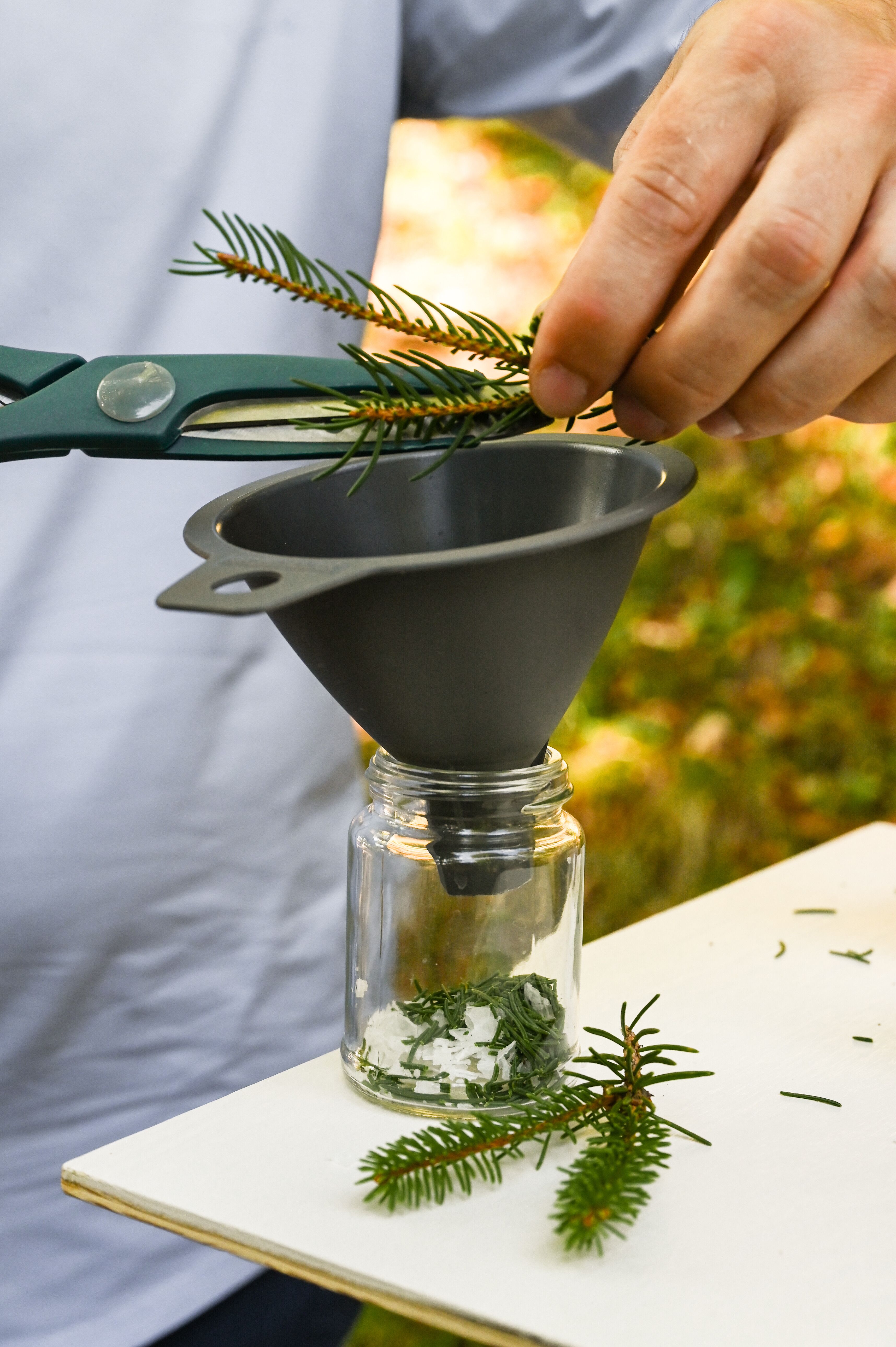 Inmitten der grünen Pracht des Wienerwaldes wird frisches Nadelgrün sorgfältig in ein Glas gefüllt. Die sanften Klänge der Natur umgeben die Szene und laden dazu ein, die Aromen des Waldes zu genießen. Ein Moment der Ruhe und des Genusses, der die Sinne belebt.
