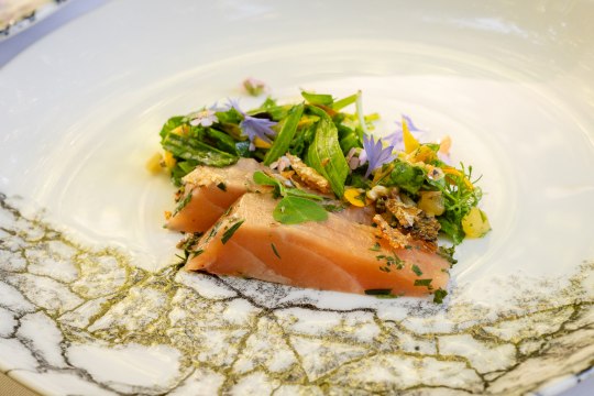  ... mit einem eigens kreierten 5-Gänge Waldmenü ..., © Wienerwald Tourismus/Christian Dusek