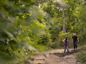 Wandern im Wienerwald, © Wienerwald / Studio Kerschbaum