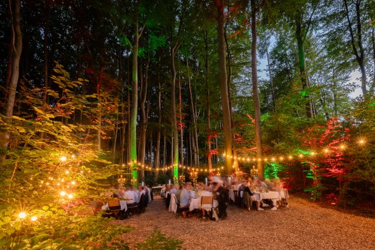 ... für diesen stimmungsvollen Abend., © Wienerwald Tourismus/Christian Dusek