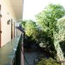 View from a balcony onto a green inner courtyard with trees and climbing plants.