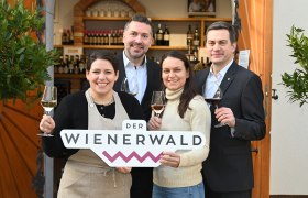 Thermenregion - Heurigengenuss ganzjährig, © Wienerwald Tourismus/Sonja Pohl