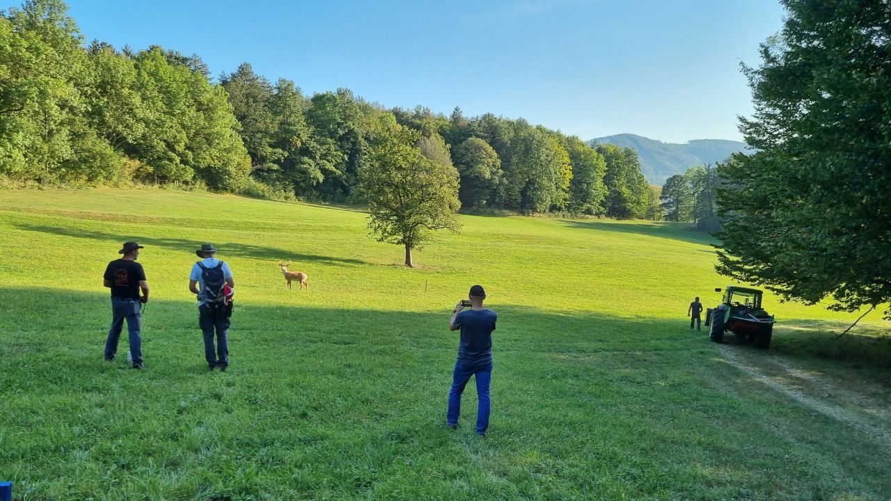 Bogenschieß-Parcours in Nöstach