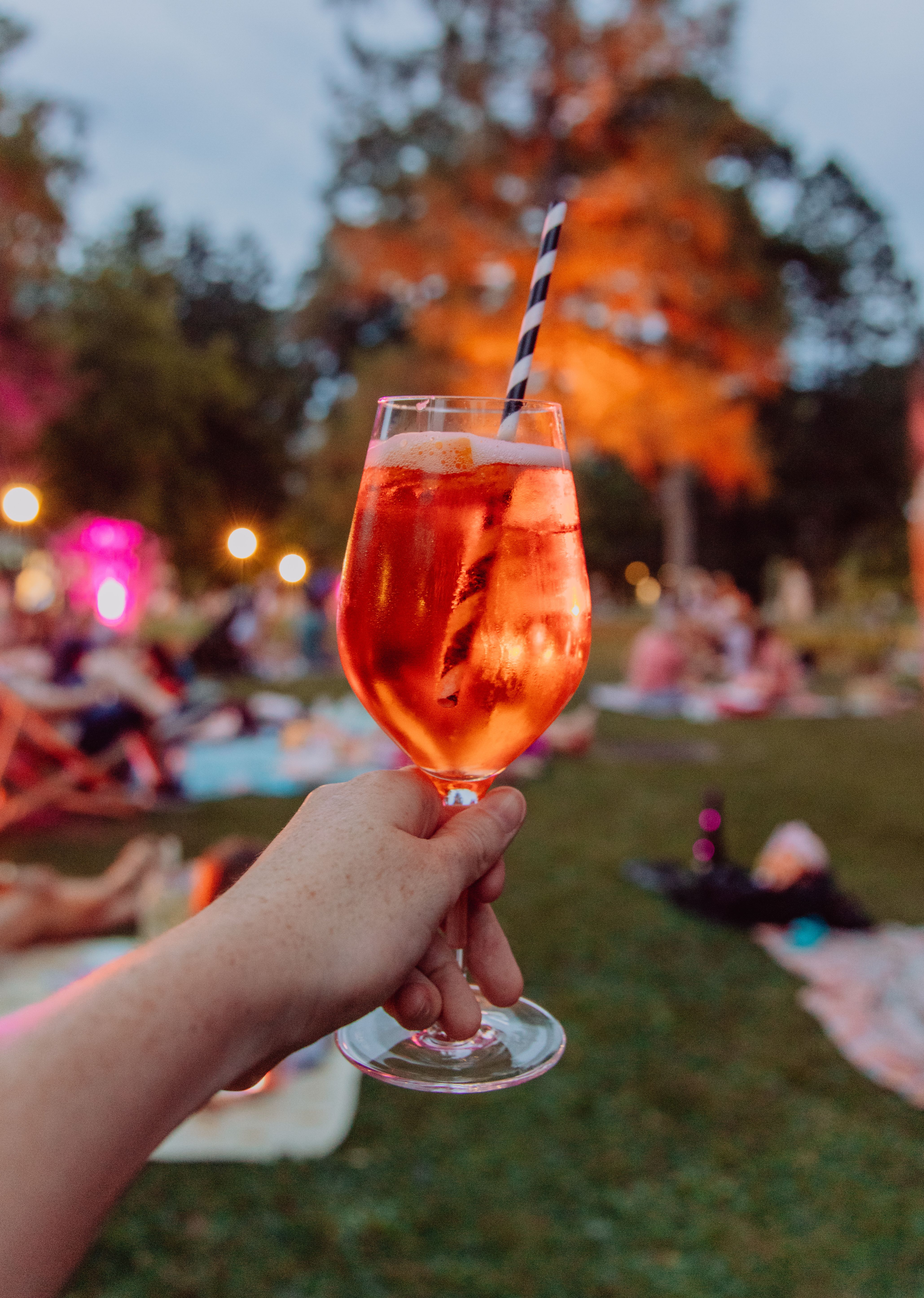 Mondscheinpicknick