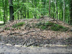 Römisches Hügelgrab, © Wienerwald