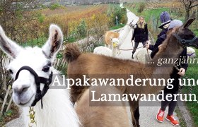 Alpaka-Erlebnis im Wienerwald, © (c) Karina Pöschl