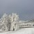 Winter am Tulbingerkogel, &copy; F. Bl&auml;uel GesmbH