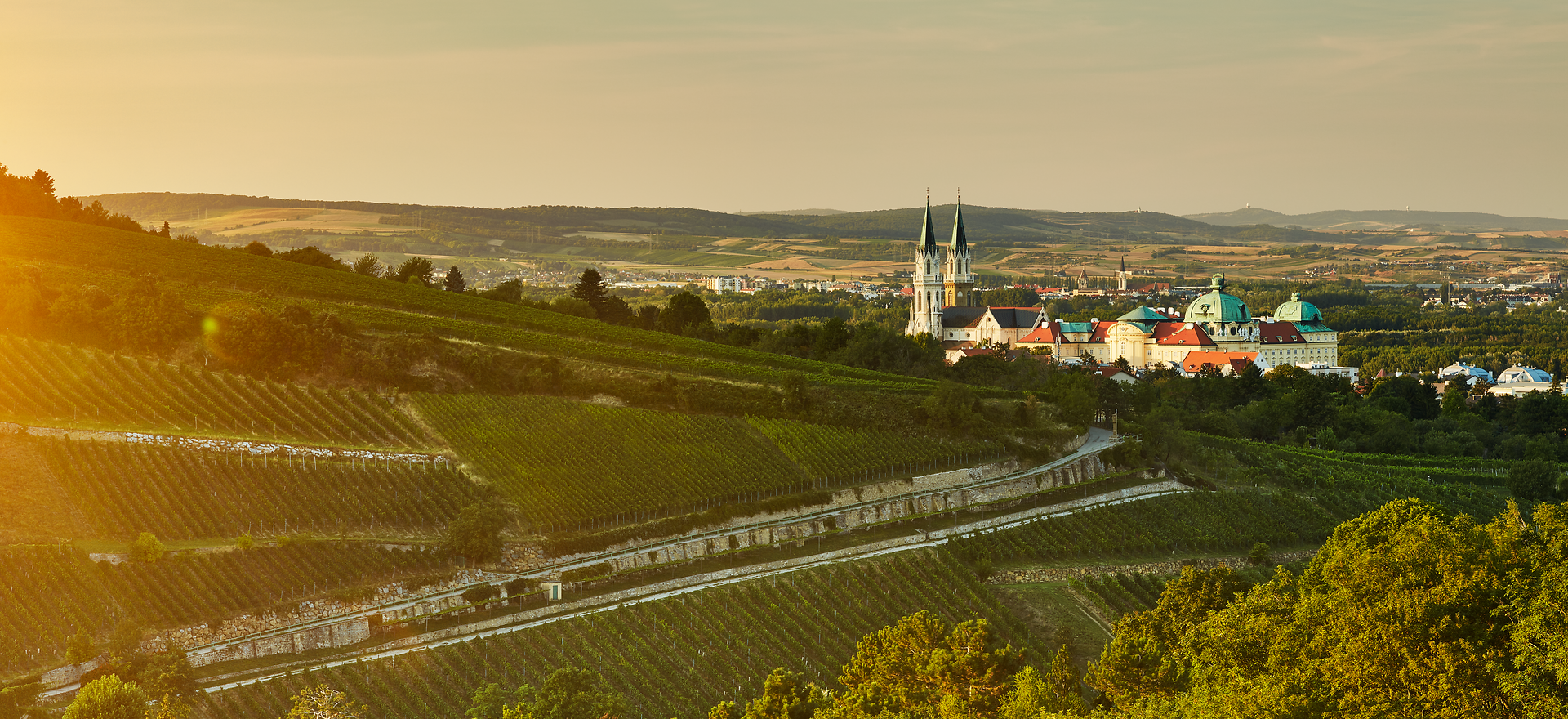 Die sanften Hügel und die üppigen Weinreben schaffen eine malerische Kulisse, die zum Verweilen einlädt. In der Ferne erheben sich majestätische Gebäude, die von der Geschichte und Kultur der Region zeugen. Ein Ort, an dem Natur und Tradition harmonisch miteinander verschmelzen.