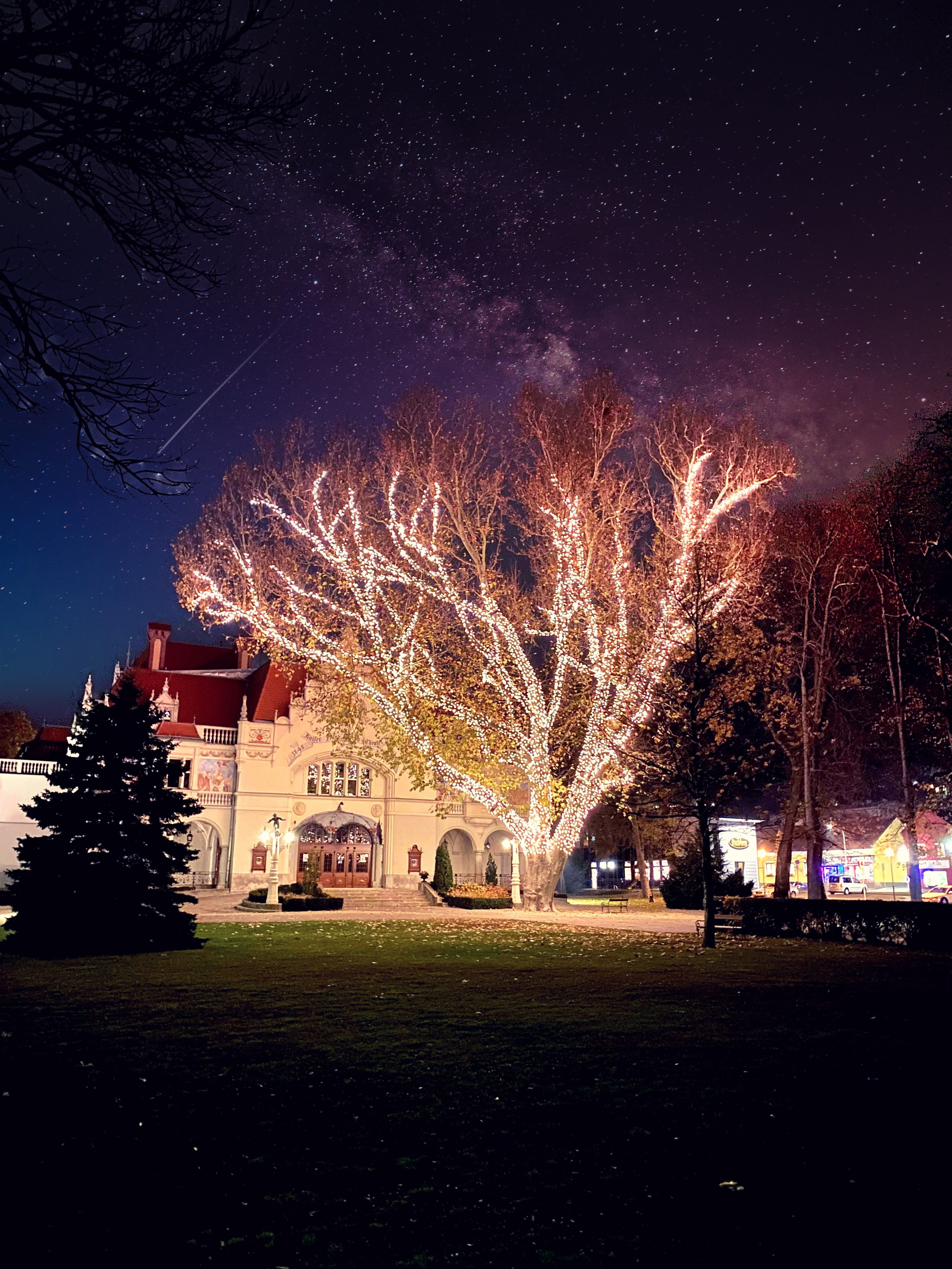 Das Stadttheater Berndorf in der Dunkelheit. Davor leuchtet wunderschön der große beleuchtete Baum und lässt das Stadttheater erstrahlen.