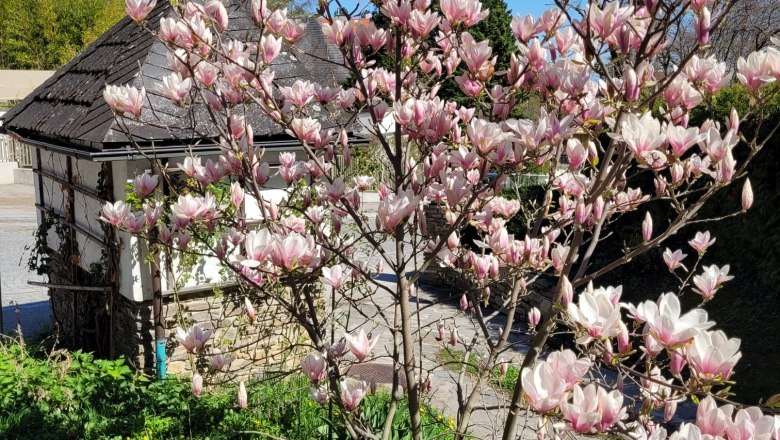 Boutiquehotel Landhaus am Kurpark, © Boutiquehotel Landhaus am Kurpark