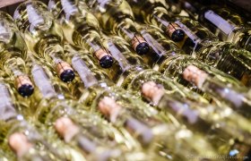 Sekterlebnis, &copy; Thomas Magyar, www.tm-fotodesign.at